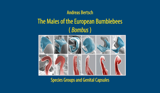 ebook - The Males of the European Bumblebees (Bombus), Species Groups and Genital Capsules