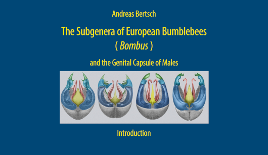 The Subgenera of European Bumblebees (Bombus) and the Genital Capsule of Males